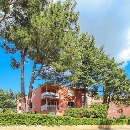 Vesna S Apartment Novigrad Istria Εξωτερικό φωτογραφία