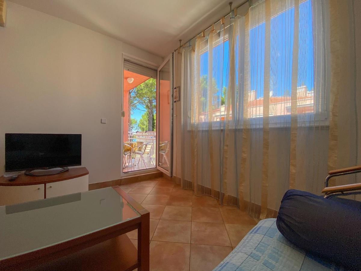 Vesna S Apartment Novigrad Istria Εξωτερικό φωτογραφία
